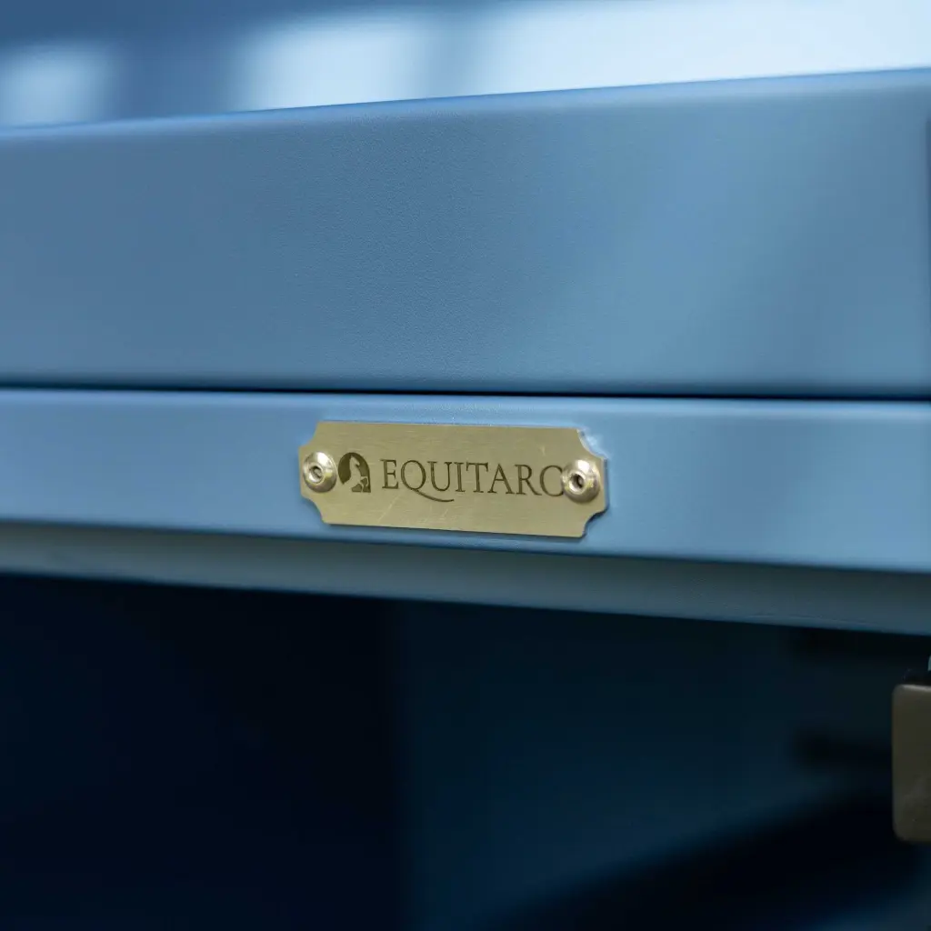 Diligence S avec coffre détail.webp