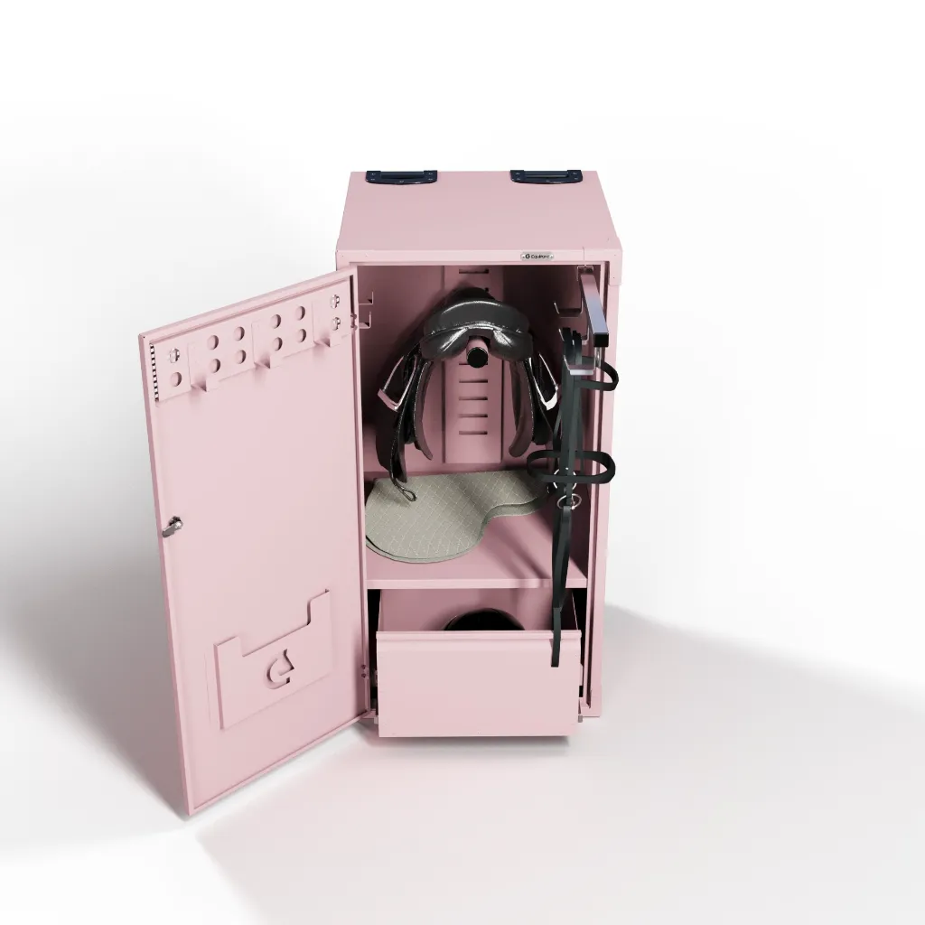 RiderBox XS Alu Coffre 3015 Rose Clair Situation.webp