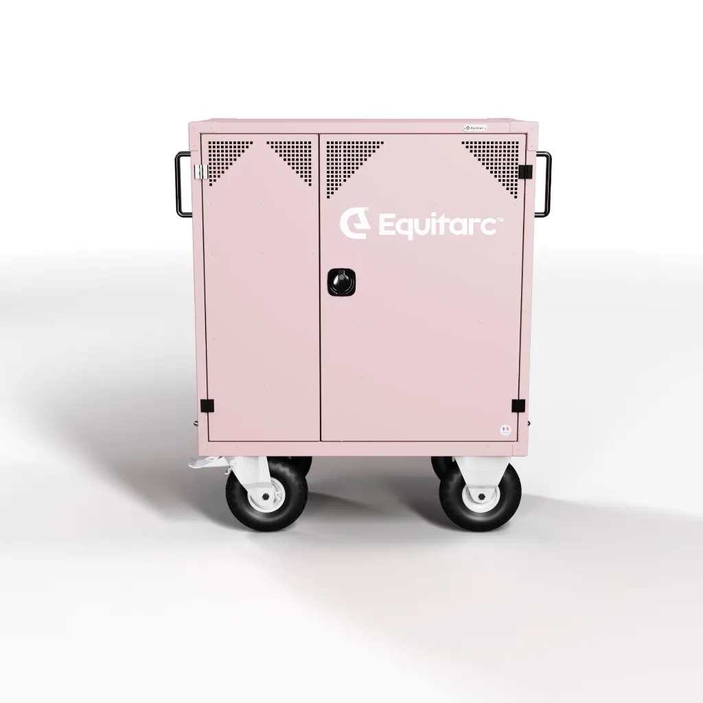 RiderBox S Alu 3015 Rose Pale Face.webp