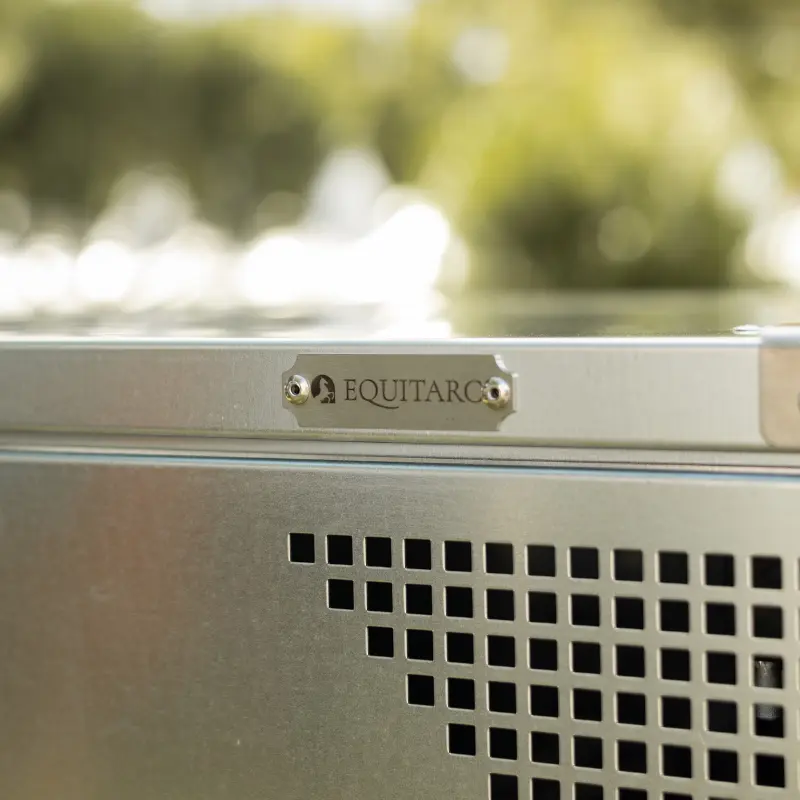 détail Diligence S.webp