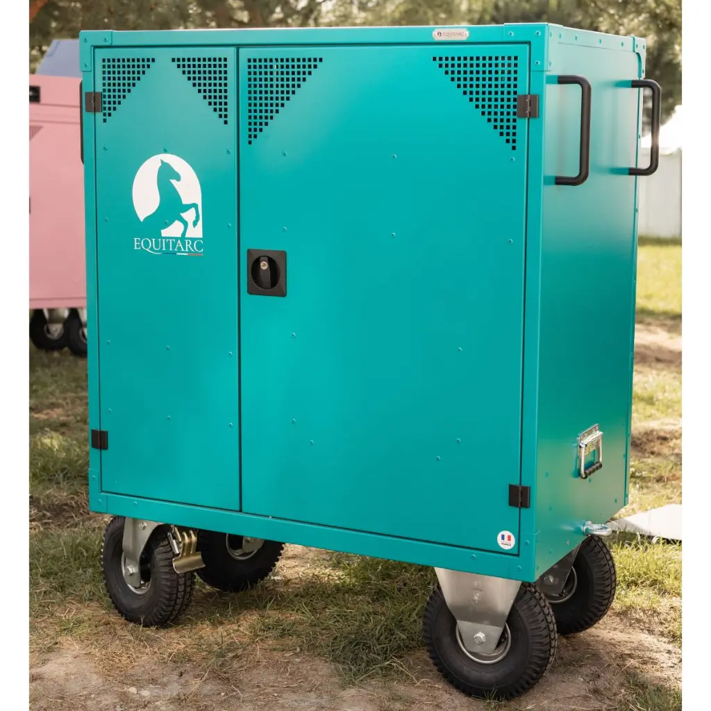 Diligence S ral 5018.webp