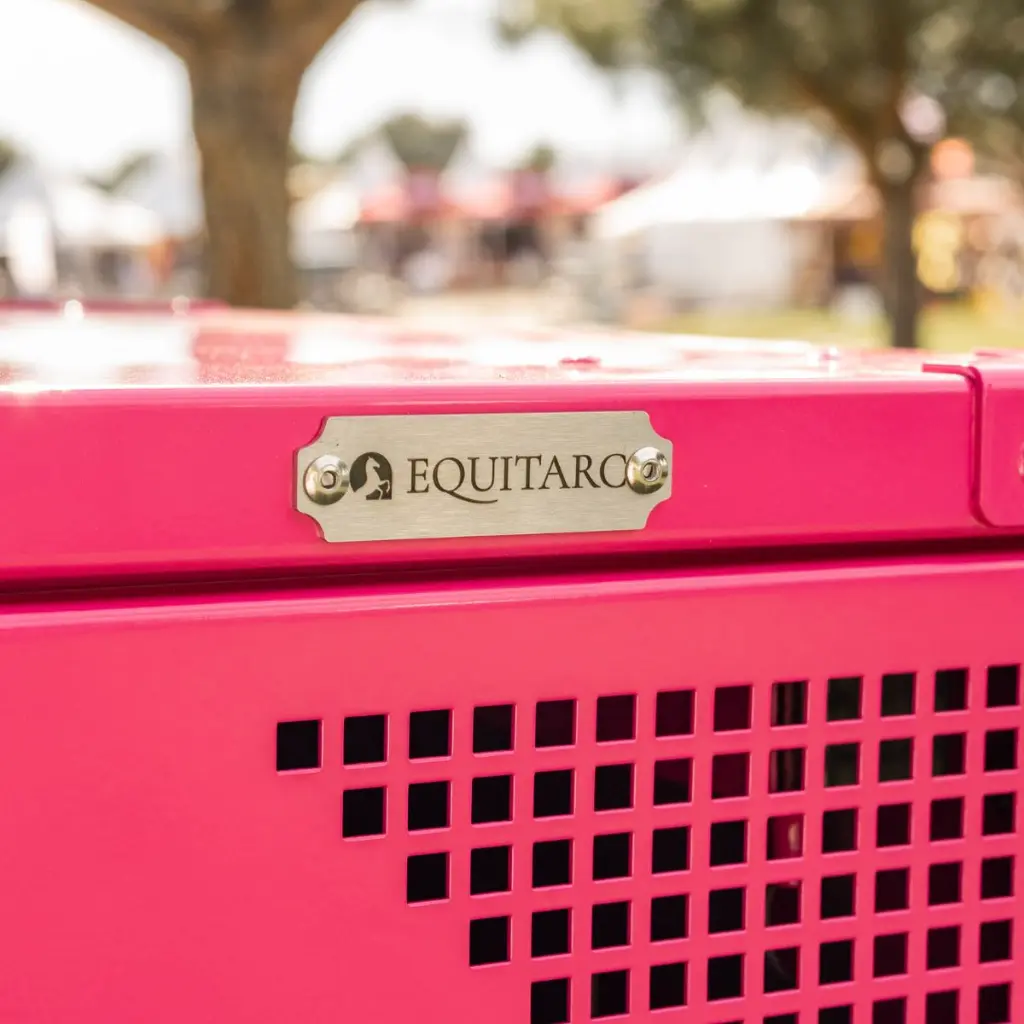 Diligence S RAL 4010.webp