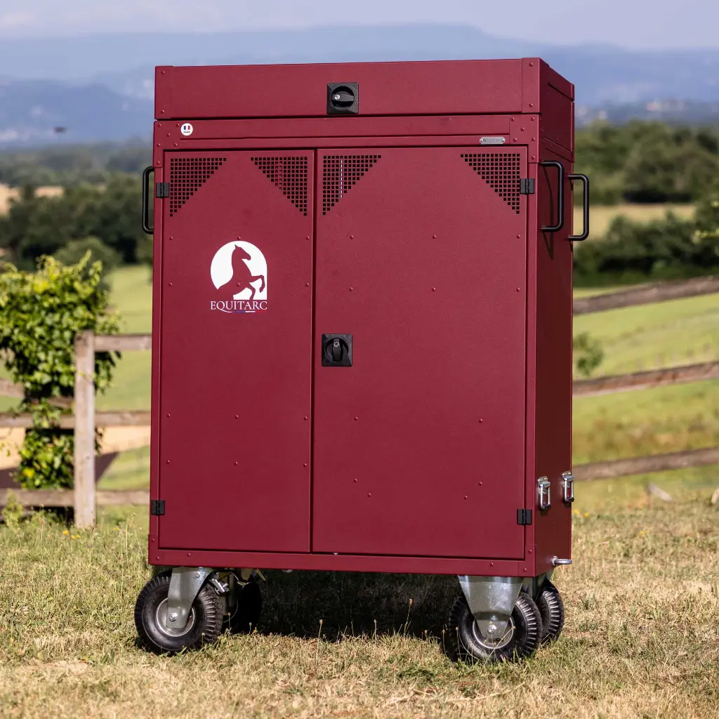 Diligence M avec coffre.webp