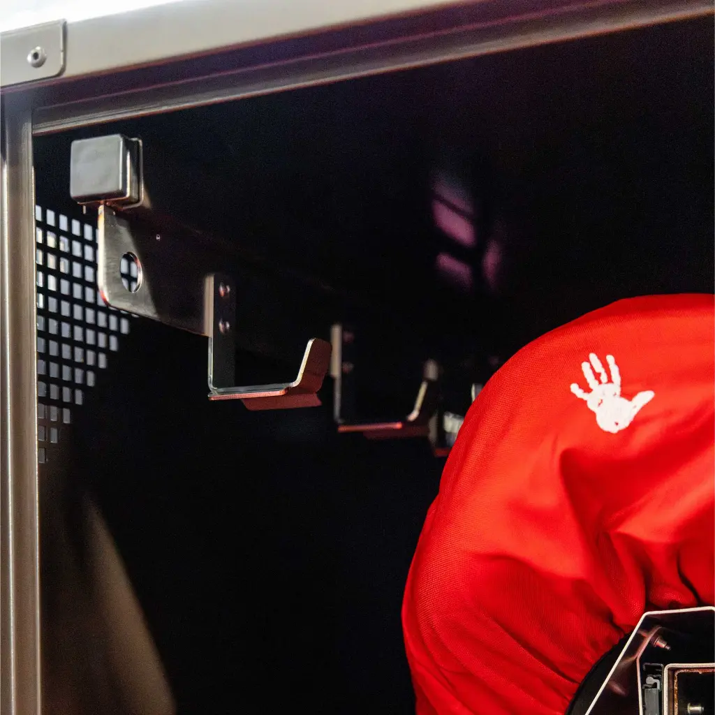 Diligence W CSO.webp