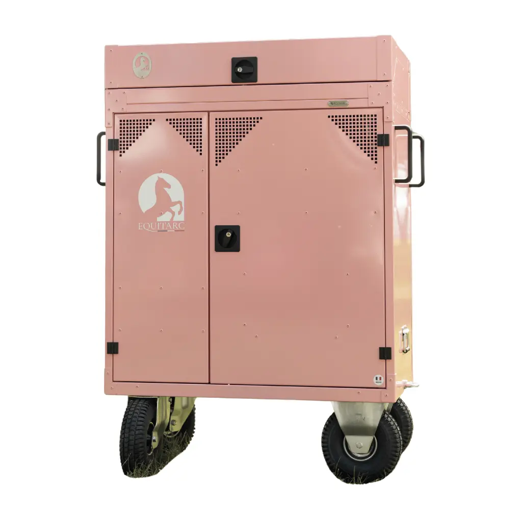 Diligence S avec coffre.webp